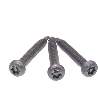 304 201 vis d'acier inoxydable Pin Head Torx Self Drilling trifouillent résistant